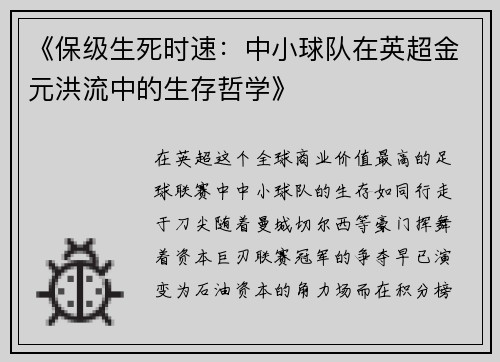 《保级生死时速：中小球队在英超金元洪流中的生存哲学》